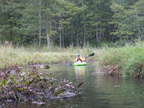 IMG 4607